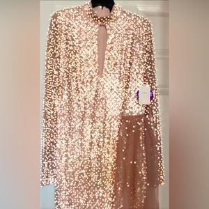 Windsor blush special occasion party dress